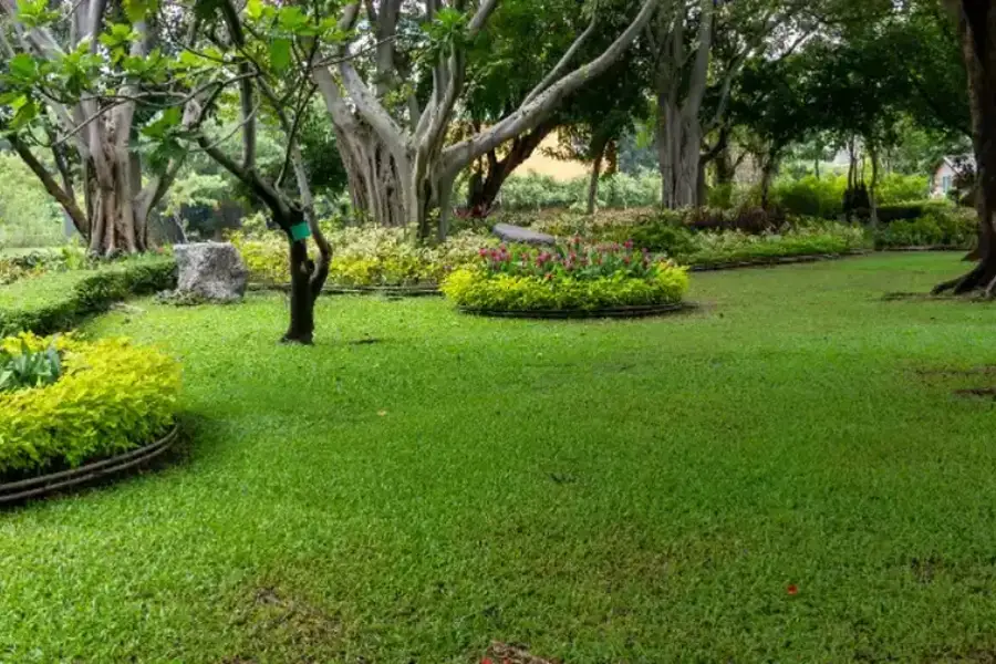 Benefits Of Aeration And Seeding In Lawn Maintenance Fort Myers, FL
