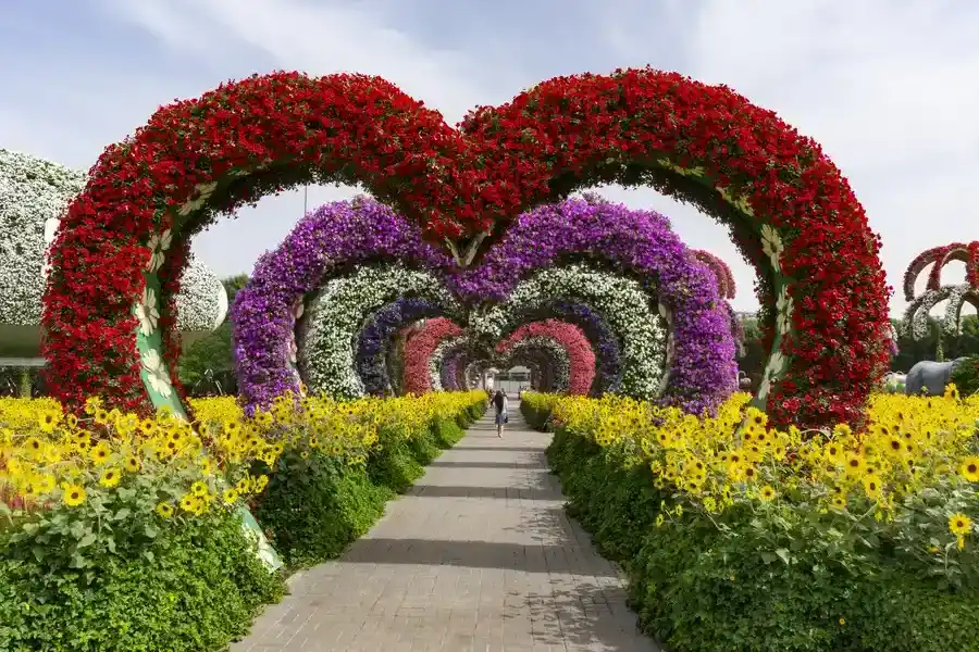 Excellent Landscape Installation Fort Myers, FL