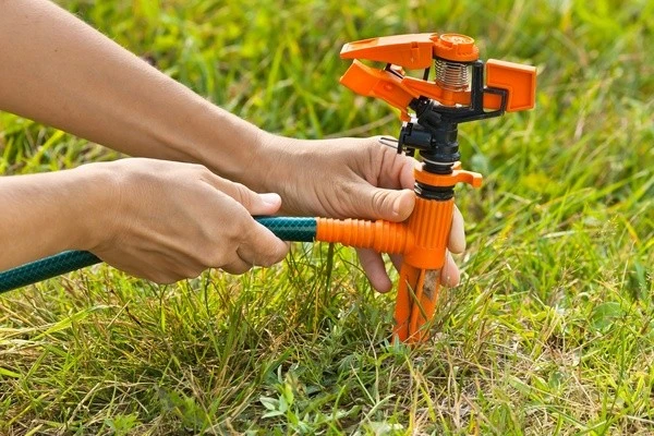 Francisco Felipe Lawn Care Inc's other services