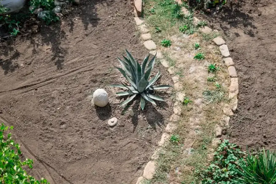 How Landscape Installation Enhances Property Functionality Fort Myers, FL