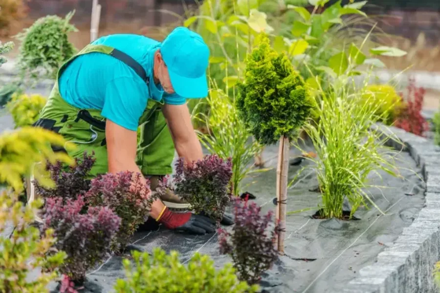 Local Lawn Maintenance Fort Myers, FL