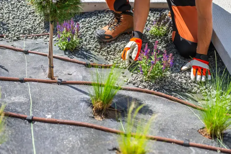 Professional Landscape Installation Fort Myers, FL