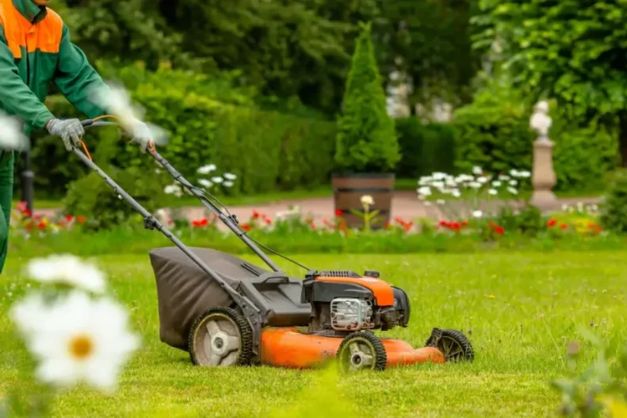 Reputable Lawn Maintenance Fort Myers, FL