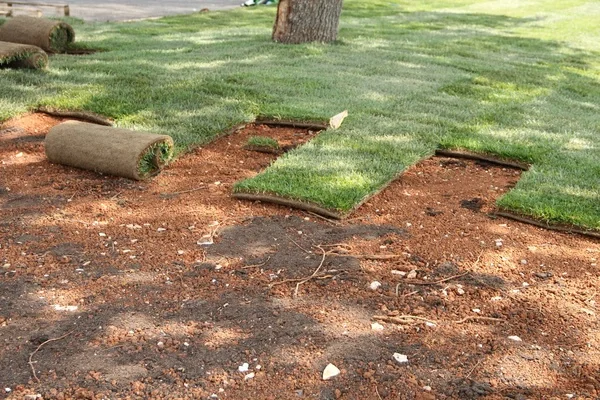 Sod Installation