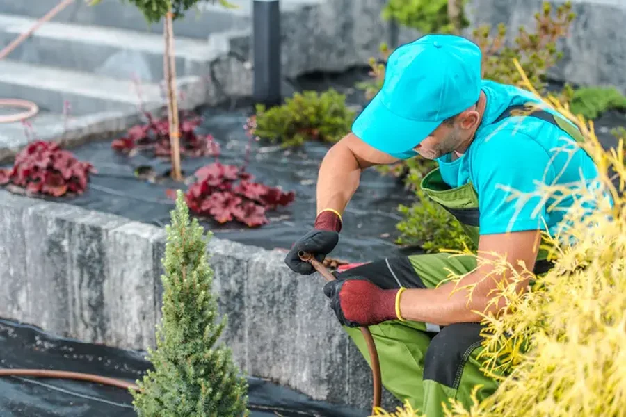 Superior Landscape Installation Fort Myers, FL
