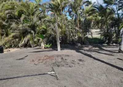 Dependable landscaping services