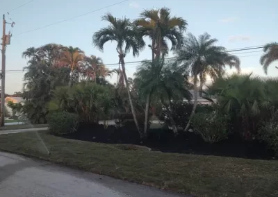 Professional landscaping services