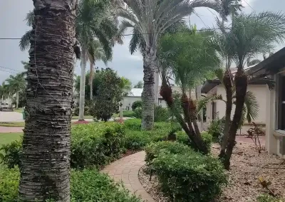 Reputable landscaping services