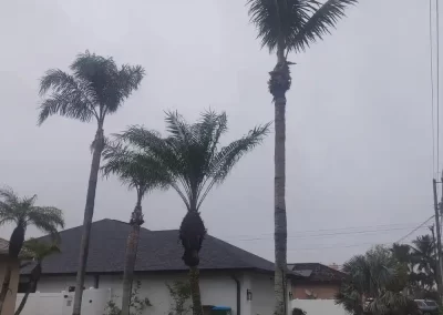 Top-rated landscaping services